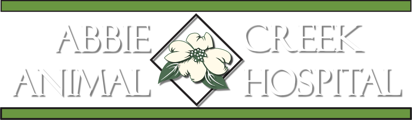 Front Page Logo2